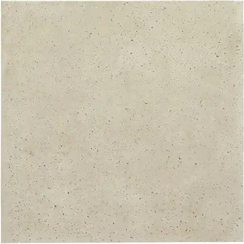 Shop Nu Schellevis Oudhollands Tegel 60x60x5 cm Crème