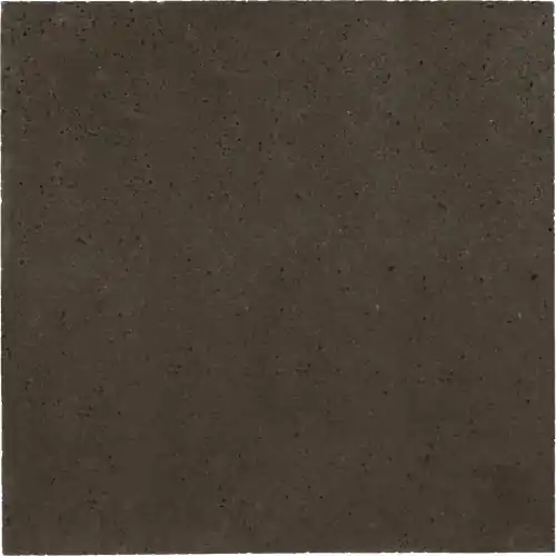Populair Schellevis Oudhollands Tegel 200x100x10 cm Taupe