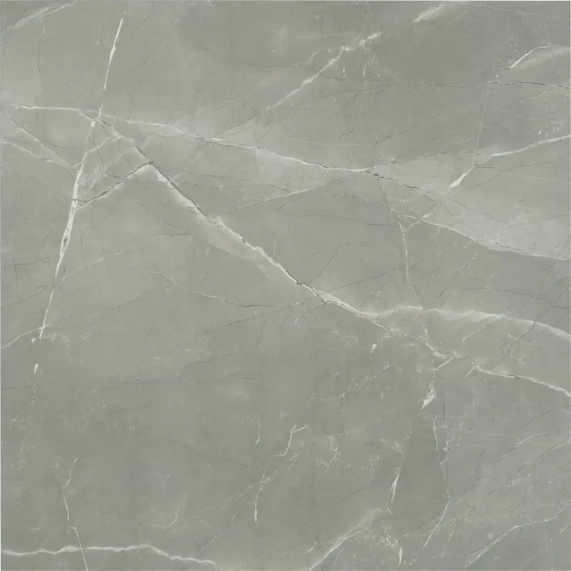Goedkoop Vloertegel/Wandtegel Frost Grey Rhodos Marmerlook Donkergrijs 60x60