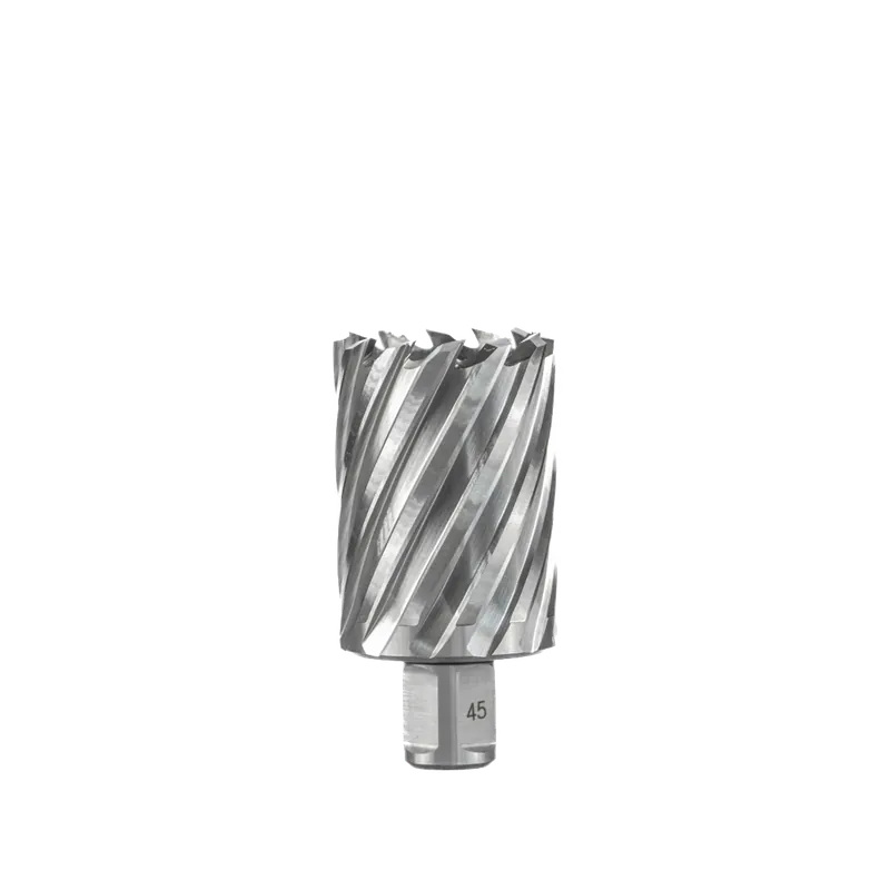 Euroboor HSS Kernboor 45mm x 100mm Shop Nu