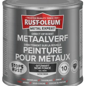 Koopje Rust-Oleum Metal Expert Direct Op Roest Metaal Verf Zijdeglans 250ml - RAL 9005