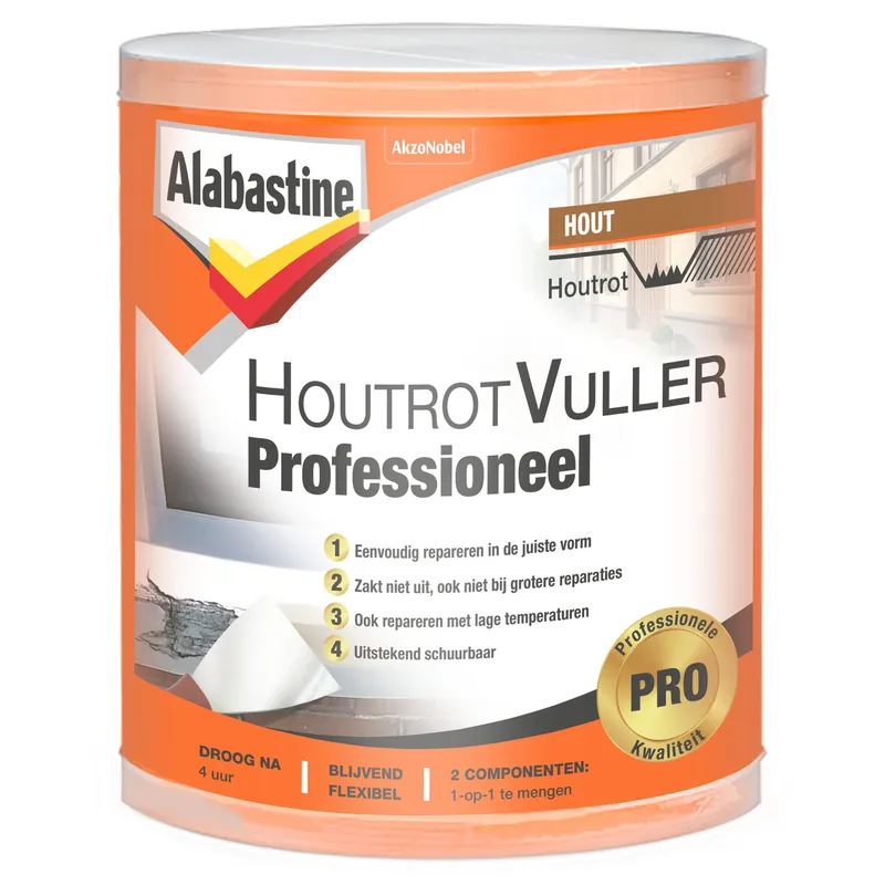 Laatste Versie Alabastine Houtrotvuller Professioneel