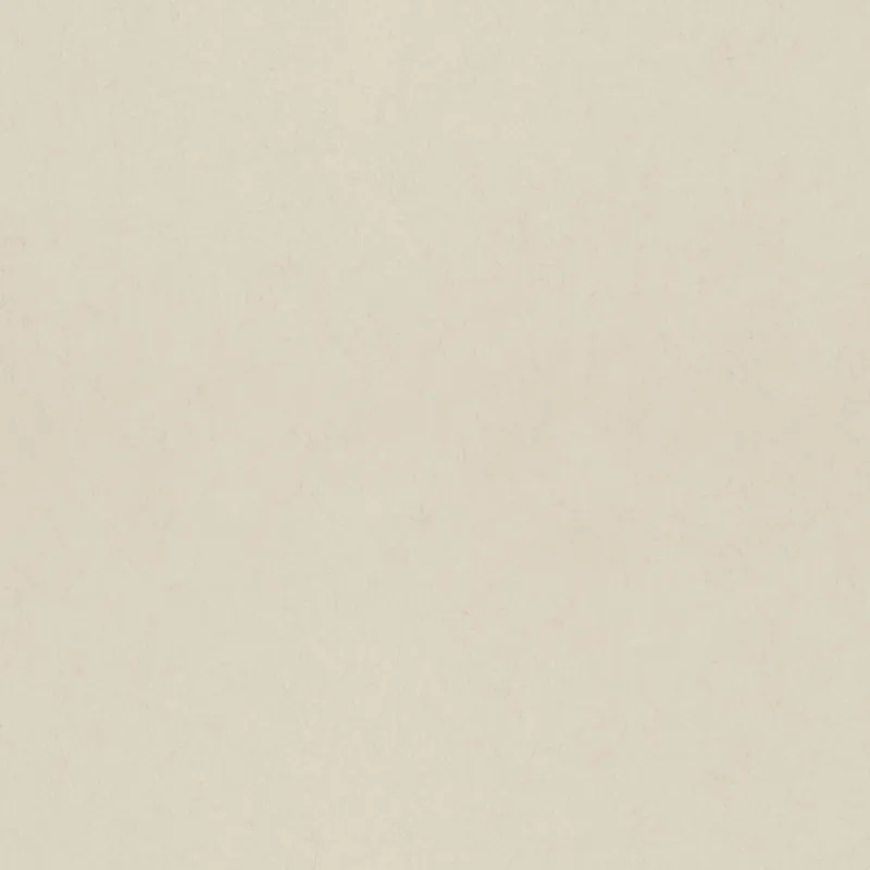 Alleen Vandaag Dutch Wallcoverings Kulör - Uni White Pepper