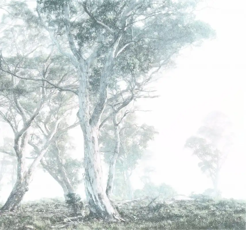 Uitverkoop Noordwand Komar Raw Fotobehang Magic Trees - R3-023