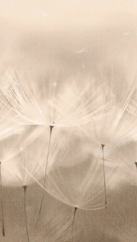 Nu Kopen Grandeco Orom 2 - 203801 - Dandelion 159x280cm