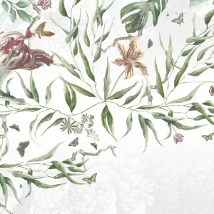 Vanilla Lime Vanilla Lime Fotobehang Biodiversity - 014300 Premium