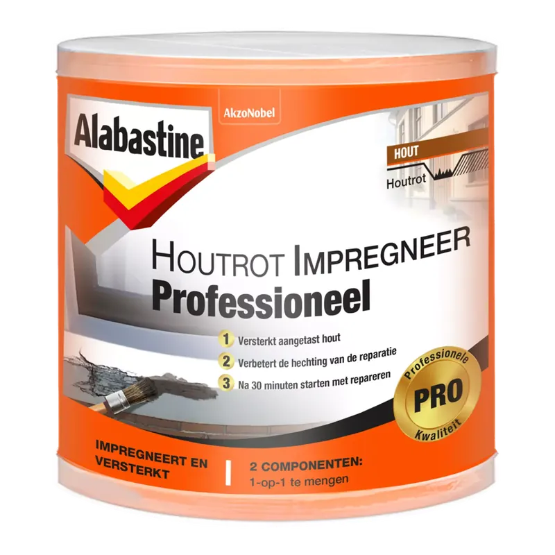 Speciale Aanbieding Alabastine Houtrotimpregneer pro - 120ml
