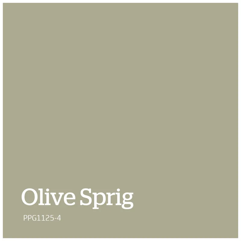 PPG1125-4 – Olive Sprig Koopje