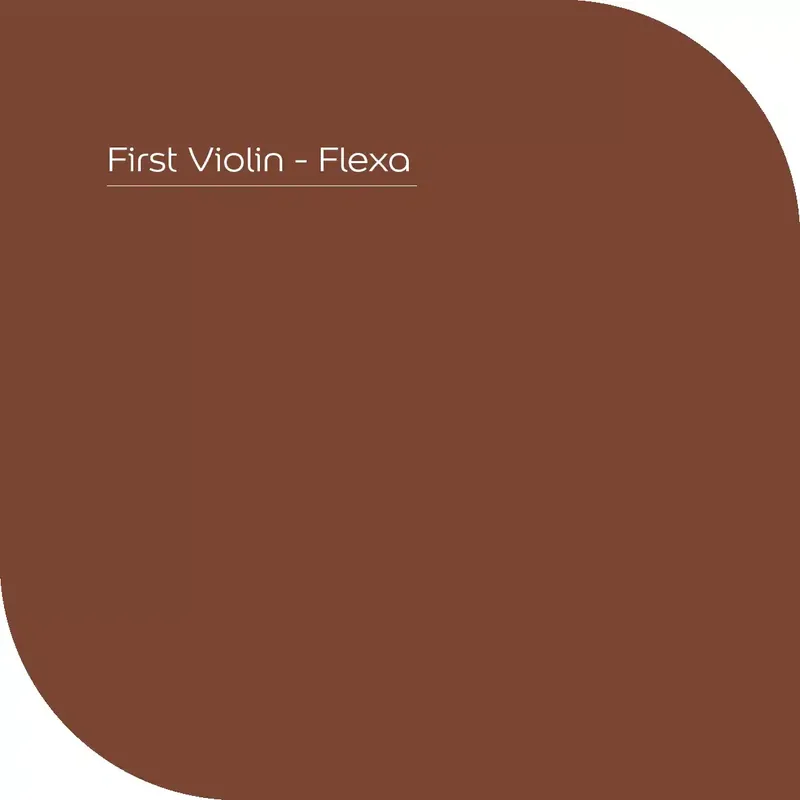 Beperkte Voorraad First Violin
