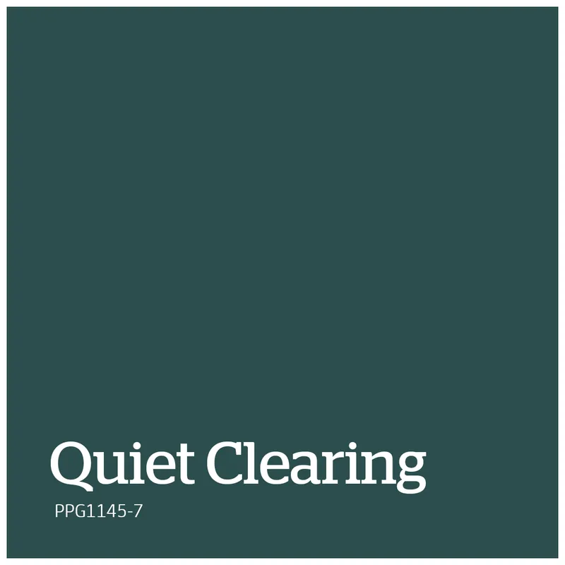 PPG1145-7 – Quiet Clearing Beste Prijs