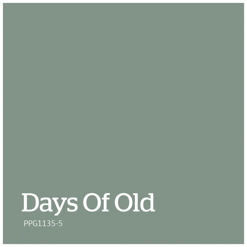 Veilige Betaling PPG1135-5 – Days Of Old